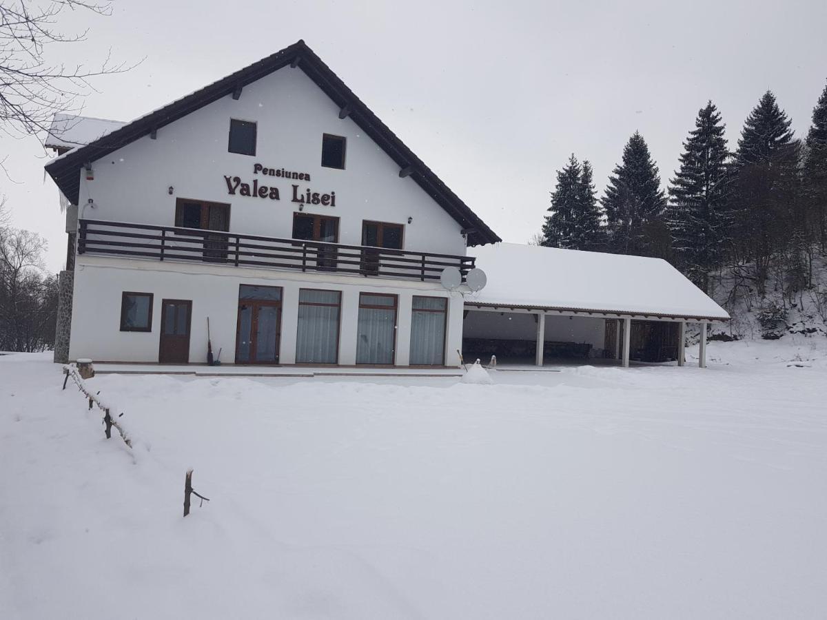 Pensiunea Valea Lisei Lisa Exterior foto