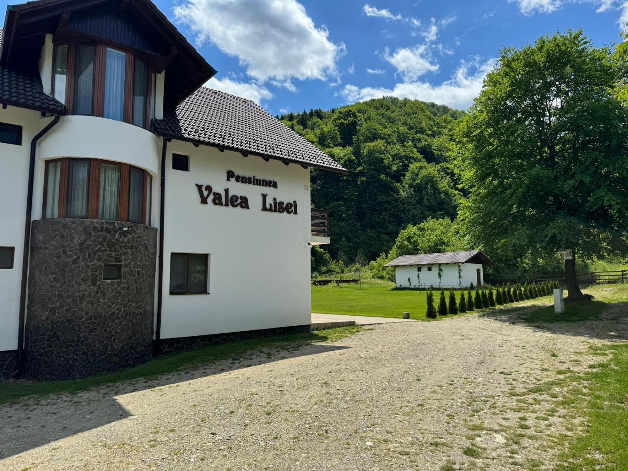 Pensiunea Valea Lisei Lisa Exterior foto